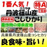 兵庫県丹波篠山産コシヒカリ　令和５年産１等米・特Ａ米　２５ｋｇ玄米
