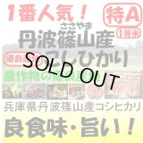 兵庫県丹波篠山産コシヒカリ　令和６年産新米2等米・特Ａ米　３０ｋｇ玄米