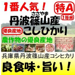 画像1: 兵庫県丹波篠山産コシヒカリ　令和５年産１等米・特Ａ米　２５ｋｇ玄米