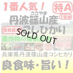 画像1: 兵庫県丹波篠山産コシヒカリ　令和６年産新米2等米・特Ａ米 お試し米２合（３００ｇ）×２ 全国送料無料！（ポスト投函）