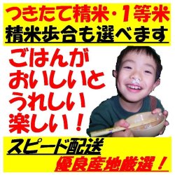 画像2: 長野県佐久産コシヒカリ（無農薬）　令和５年産１等米　２５ｋｇ玄米