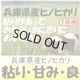 兵庫県東条産ヒノヒカリ　令和５年産１等米　３０ｋｇ玄米