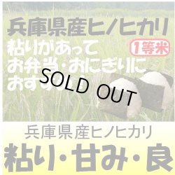 画像1: 兵庫県東条産ヒノヒカリ　令和６年産新米１等米　３０ｋｇ玄米