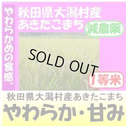 画像1: 秋田県大潟村産あきたこまち（減農薬）　令和６年産新米１等米 お試し米２合（３００ｇ）×２ 全国送料無料！（ポスト投函）６