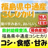 福島県中通産コシヒカリ　令和７年産１等米　３０ｋｇ玄米