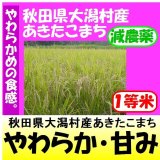 秋田県大潟村産あきたこまち（減農薬）　令和５年産１等米　２５ｋｇ玄米