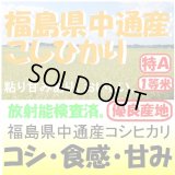 福島県中通産コシヒカリ　令和４年産１等米 お試し米２合（３００ｇ）×２ 全国送料無料！（ポスト投函）