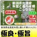 新潟県佐渡産朱鷺と暮らす郷コシヒカリ（減農薬）　令和６年産新米１等米　５ｋｇ