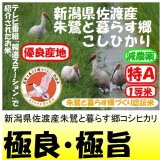 新潟県佐渡産朱鷺と暮らす郷コシヒカリ（減農薬）　令和６年産新米１等米　５ｋｇ