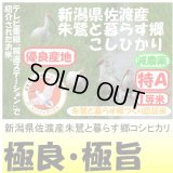 新潟県佐渡産朱鷺と暮らす郷コシヒカリ（減農薬）　令和５年産２等米 お試し米２合（３００ｇ）×２ 全国送料無料！ネコポス便（ポスト投函）！