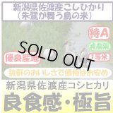 新潟県佐渡産コシヒカリ（朱鷺・トキが舞う島の米）（減農薬）　令和５年産２等米　２５ｋｇ玄米