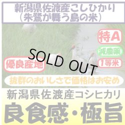 画像1: 新潟県佐渡産コシヒカリ（朱鷺・トキが舞う島の米）（減農薬）　令和５年産２等米　２５ｋｇ玄米