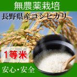長野県佐久産コシヒカリ（無農薬）　令和５年産１等米　２５ｋｇ玄米
