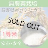 長野県佐久産コシヒカリ（無農薬）　令和５年産１等米　３０ｋｇ玄米