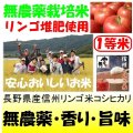 長野県産信州リンゴ米コシヒカリ（無農薬）　令和６年産新米１等米　３０ｋｇ玄米