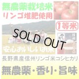 長野県産信州リンゴ米コシヒカリ（無農薬）　令和４年産１等米　１０ｋｇ