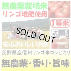 画像1: 長野県産信州リンゴ米コシヒカリ（無農薬）　令和４年産１等米　２５ｋｇ玄米