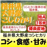 福井県大野産コシヒカリ　令和６年産新米１等米　１０ｋｇ