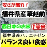 福井県産ハナエチゼン　令和６年産新米１等米　３０ｋｇ玄米