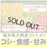 福井県大野産コシヒカリ　令和５年産１等米　３０ｋｇ玄米