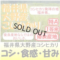 画像1: 福井県大野産コシヒカリ　令和６年産新米１等米　３０ｋｇ玄米
