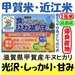 画像1: 滋賀県甲賀産キヌヒカリ（減農薬）（近江米）　令和６年産新米２等米　３０ｋｇ玄米