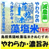 島根県隠岐藻塩米きぬむすめ（減農薬）　令和６年産１等米・特Ａ米　３０ｋｇ玄米