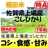 佐賀県上場産コシヒカリ（棚田米）　令和６年産１等米 お試し米２合（３００ｇ）×２ 全国送料無料！メール便（ポスト投函）！