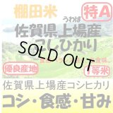 佐賀県上場産コシヒカリ（棚田米）　令和６年産１等米 お試し米２合（３００ｇ）×２ 全国送料無料！メール便（ポスト投函）！