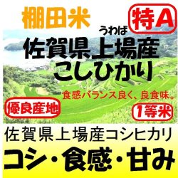 画像1: 佐賀県上場産コシヒカリ（棚田米）　令和６年産１等米 お試し米２合（３００ｇ）×２ 全国送料無料！メール便（ポスト投函）！