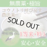 福井県産コウノトリ呼び戻す農法米コシヒカリ（無農薬）　令和６年産１等米　３０ｋｇ玄米