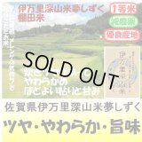 佐賀県伊万里深山米　夢しずく（減農薬）（棚田米）　令和６年産１等米・特Ａ米 お試し米２合（３００ｇ）×２ 全国送料無料！メール便（ポスト投函）！　