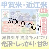 滋賀県甲賀産キヌヒカリ（減農薬）（近江米）　令和５年産１等米　１０ｋｇ