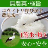 福井県産コウノトリ呼び戻す農法米コシヒカリ（無農薬）　令和６年産１等米 お試し米２合（３００ｇ）×２ 全国送料無料！メール便（ポスト投函）！