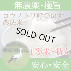 画像1: 福井県産コウノトリ呼び戻す農法米コシヒカリ（無農薬）　令和６年産１等米　１０ｋｇ