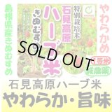 石見高原ハーブ米島根県産きぬむすめ（減農薬）　令和５年産１等米・特Ａ米　２５ｋｇ玄米