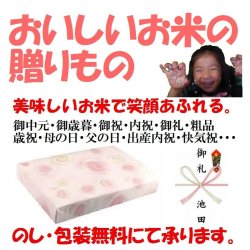 画像4: 宮崎県産　コシヒカリ　令和７年産新米１等米　５ｋｇ