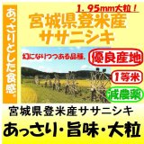 宮城県登米産ササニシキ（減農薬）　令和６年産１等米 お試し米２合（３００ｇ）×２ 全国送料無料！メール便（ポスト投函）！