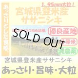 宮城県登米産ササニシキ（減農薬）　令和６年産１等米 お試し米２合（３００ｇ）×２ 全国送料無料！メール便（ポスト投函）！