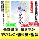 長野県産　風さやか（減農薬）　令和６年産１等米 お試し米２合（３００ｇ）×２ 全国送料無料！メール便（ポスト投函）！