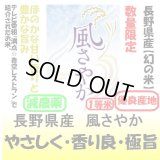 長野県産　風さやか（減農薬）　令和６年産１等米 お試し米２合（３００ｇ）×２ 全国送料無料！メール便（ポスト投函）！