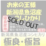 新潟県魚沼産コシヒカリ　令和５年産2等米・特Ａ米 お試し米２合（３００ｇ）×２ 全国送料無料！（ポスト投函）