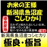 新潟県魚沼産コシヒカリ　令和５年産１等米・特Ａ米　２５ｋｇ玄米