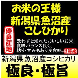 画像1: 新潟県魚沼産コシヒカリ　令和５年産１等米・特Ａ米　２５ｋｇ玄米