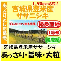 画像1: 宮城県登米産ササニシキ（減農薬）　令和６年産１等米　１０ｋｇ