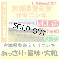 画像1: 宮城県登米産ササニシキ（減農薬）　令和６年産1等米　２５ｋｇ玄米