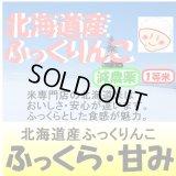 北海道産　ふっくりんこ　令和６年産１等米・特Ａ米　３０ｋｇ玄米