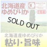 北海道産ゆめぴりか　令和５年産１等米・特Ａ米　３０ｋｇ玄米