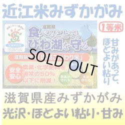 画像1: 滋賀県産みずかがみ（減農薬）（近江米）　令和４年産１等米　３０ｋｇ玄米