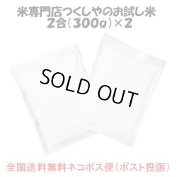 画像2: 高知県産ナツヒカリ　令和５年産２等米 お試し米２合（３００ｇ）×２ 全国送料無料！ネコポス便（ポスト投函）！　